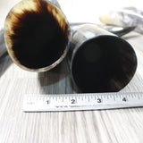4 Polished Cow Horns #0559    Natural colored