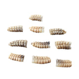10 Rattlesnake Rattles  #5659    Taxidermy Diamondback Sidewinder