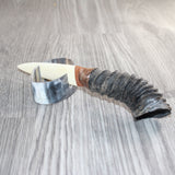 Springbok Horn Handle Bone Blade Ornamental Knife # 34868