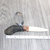 Springbok Horn Handle Bone Blade Ornamental Knife # 34868
