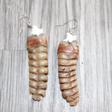 Very Large Rattlesnake Rattle Earrings  # 25568