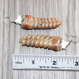 Very Large Rattlesnake Rattle Earrings  # 25568