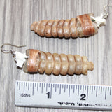 Very Large Rattlesnake Rattle Earrings  # 25568