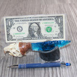 Muskrat Skull Handle Glass Blade Ornamental Knife #31768