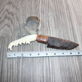 Coyote Jaw Handle Stone Blade Ornamental Knife #28868