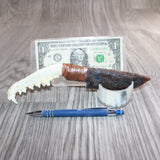 Coyote Jaw Handle Stone Blade Ornamental Knife #28868