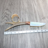 Deer Antler Handle Opalite Blade Ornamental Knife #10168