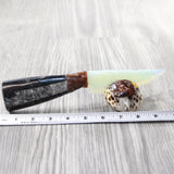 Orthoceras Fossil Handle Opalite Blade Ornamental Knife #8859     Mountain Man Knife