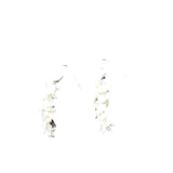 Rattlesnake Vertebrae  Earrings  #6859   Mountain Man Earrings