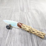 Cholla Cactus Wood Handle Opalite Blade Ornamental Knife #8859     Mountain Man Knife