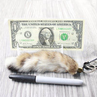 1 Bobcat Tail Key Ring #3959  Taxidermy Keychain Tassel Bag Tag
