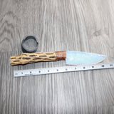 Cholla Cactus Wood Handle Opalite Blade Ornamental Knife # 21768