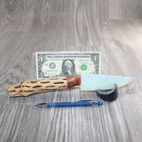 Cholla Cactus Wood Handle Opalite Blade Ornamental Knife # 21768