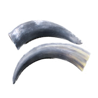 2 Raw Unfinished Cow Horns #7740 Natural Colored