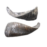 2 Small Polished Goat Horns #7259      Natural Colored