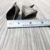 2 Small Polished Goat Horns #7259      Natural Colored