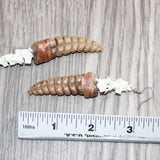 Large Rattlesnake Rattle Plus Vertebrae  Earrings  # 25968