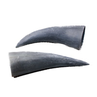 2 Small Raw Unfinished Cow Horns #0140 Natural Colored
