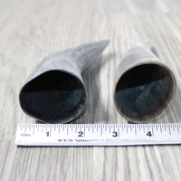 2 Small Raw Unfinished Cow Horns #0140 Natural Colored
