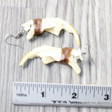 Muskrat Jaw Earrings  #6359  Mountain Man Earrings