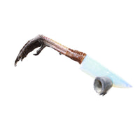 Turkey Foot Handle Opalite Blade Ornamental Knife #7359    Mountain Man Knife