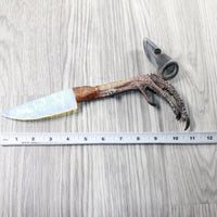 Turkey Foot Handle Opalite Blade Ornamental Knife #7359    Mountain Man Knife