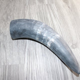 1 Raw Unfinished Cow Horn # 468  Natural Colored