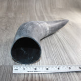 1 Raw Unfinished Cow Horn # 468  Natural Colored