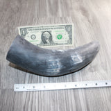 1 Raw Unfinished Cow Horn # 468  Natural Colored