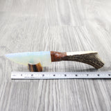 Elk Antler Handle Opalite Blade Ornamental Knife #8559     Mountain Man Knife