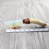 Coyote Foot Handle Opalite Blade Ornamental Knife #7959     Mountain Man Knife