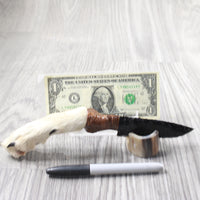 Coyote Foot Handle Obsidian Blade Ornamental Knife #1059  Mountain Man Knife