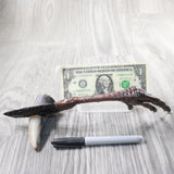 Turkey Foot Handle Obsidian Blade Ornamental Knife #7059  Mountain Man Knife