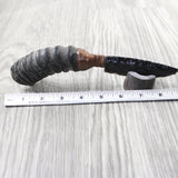 Springbok Horn Handle Handle Obsidian Blade Ornamental Knife #6150  Mountain Man Knife