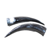2 Polished Cow Horns #4150    Natural colored