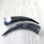 2 Polished Cow Horns #4150    Natural colored