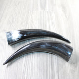 2 Polished Cow Horns #4150    Natural colored