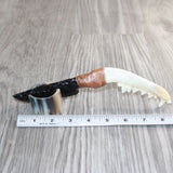 Coyote Jaw Handle Obsidian  Blade Ornamental Knife #28068