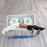 Coyote Jaw Handle Obsidian  Blade Ornamental Knife #28068