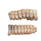 2 Large Rattlesnake Rattles  # 268   Taxidermy Diamondback Sidewinder