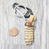 Very Large Rattlesnake Rattle Key Ring   #6150       Mountain Man Key Chain