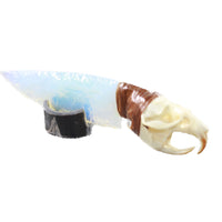 Muskrat Skull Handle Opalite Blade Ornamental Knife #0250     Mountain Man Knife