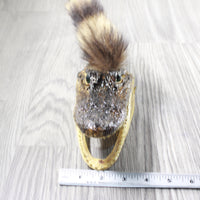 Alligator Head With Raccoon Tail Mohawk  # 6250