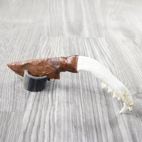 Coyote Jaw Handle Stone Blade Ornamental Knife #8550    Mountain Man Knife