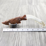 Coyote Jaw Handle Stone Blade Ornamental Knife #8550    Mountain Man Knife