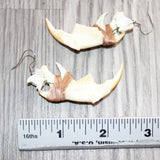 Muskrat Jaw Earrings  #30468