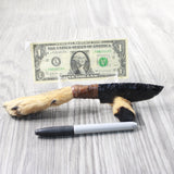 Coyote Foot Handle Obsidian Blade Ornamental Knife #9650  Mountain Man Knife