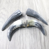 4 Small Raw Unfinished Cow Horns #5650   Natural Colored