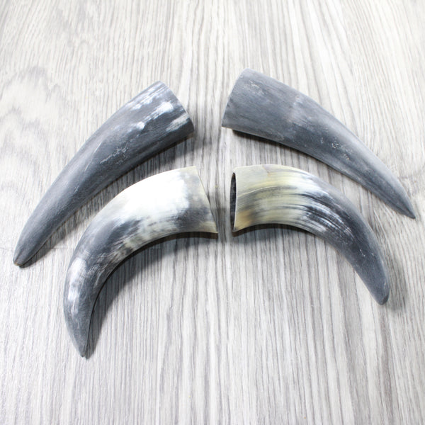 4 Small Raw Unfinished Cow Horns #5650   Natural Colored