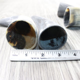 4 Small Raw Unfinished Cow Horns #5650   Natural Colored